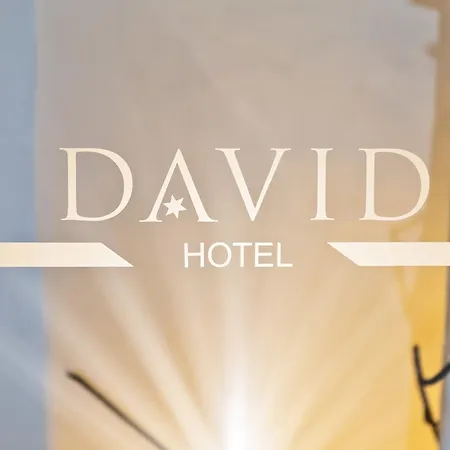 Hotel David an der Donau-2